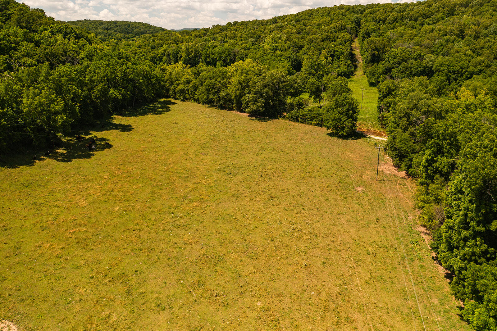 Tbd 000 County Road 514