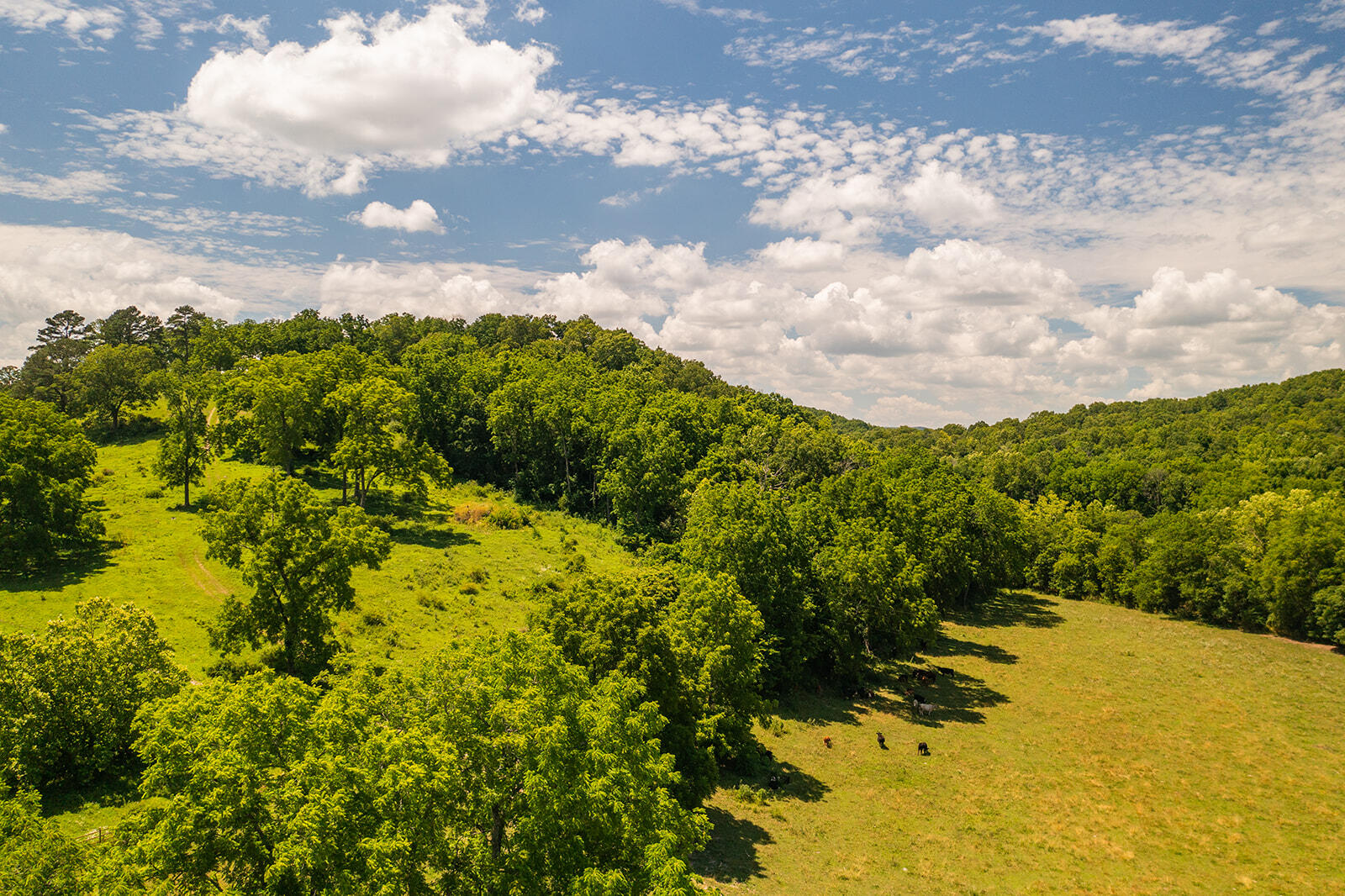 Tbd 000 County Road 514