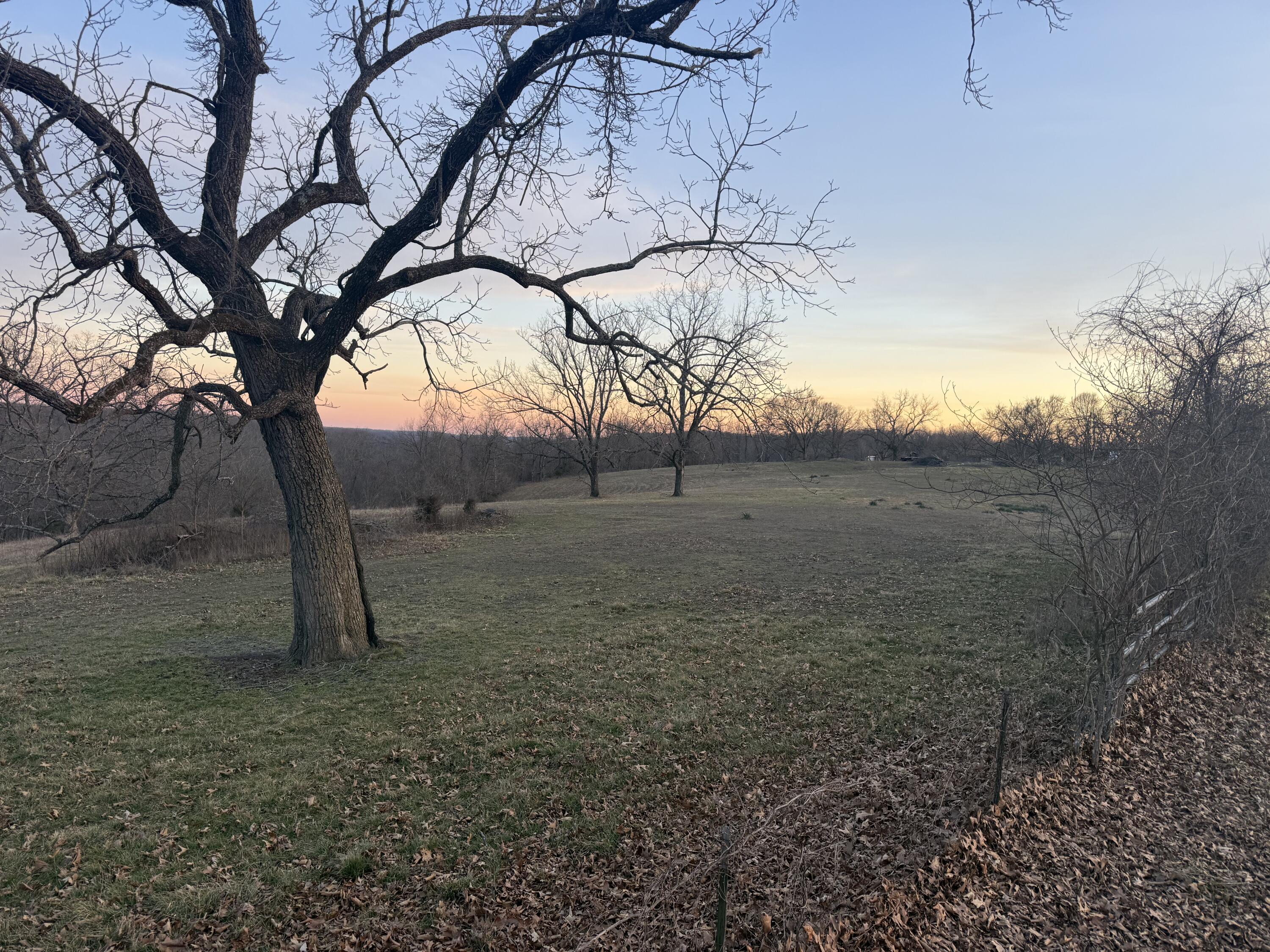 50 Acres Logan Ridge Road