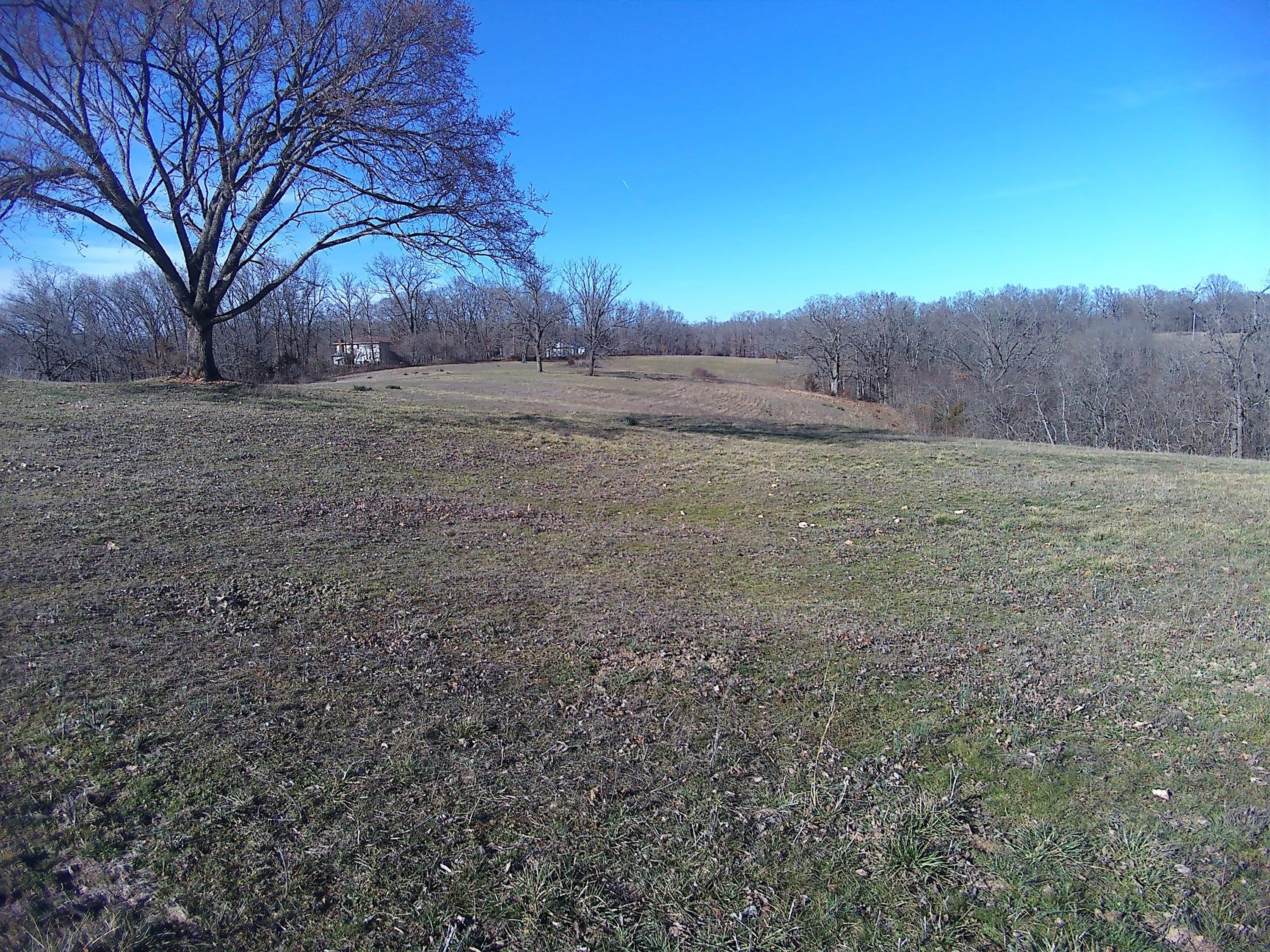 50 Acres Logan Ridge Road