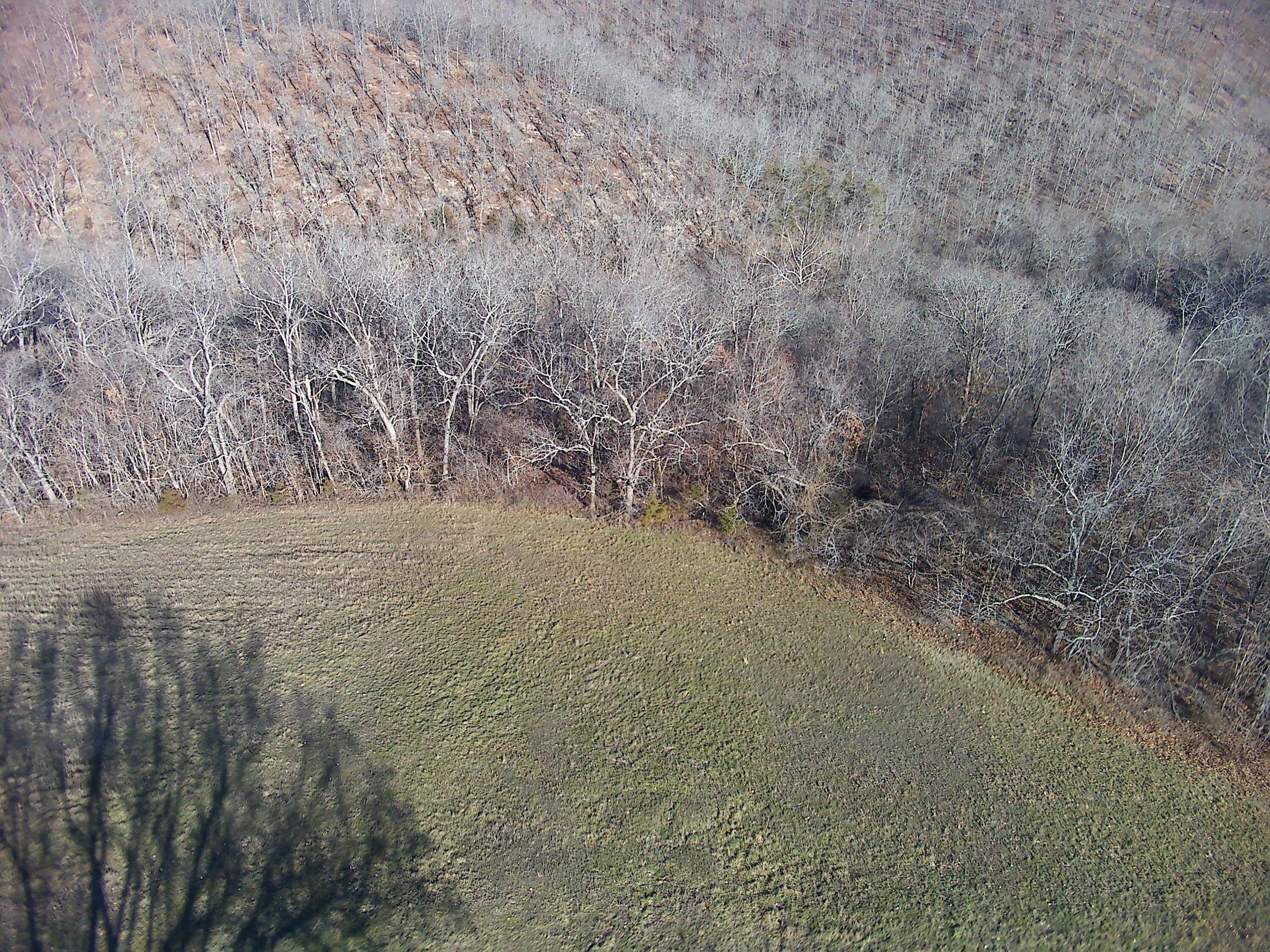 50 Acres Logan Ridge Road