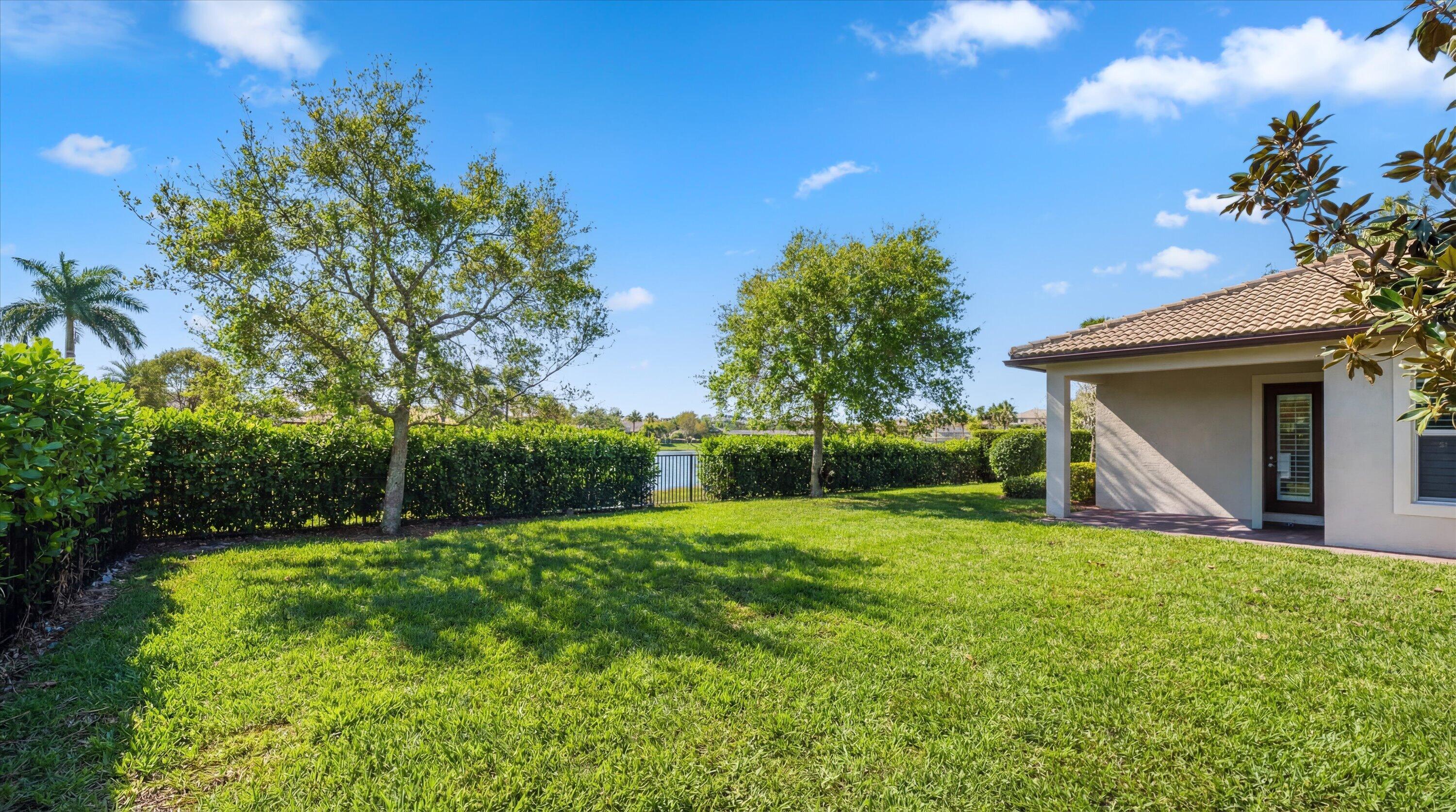 Backyard lawn with mature trees, privacy hedges, a covered patio, and a glimpse of water.