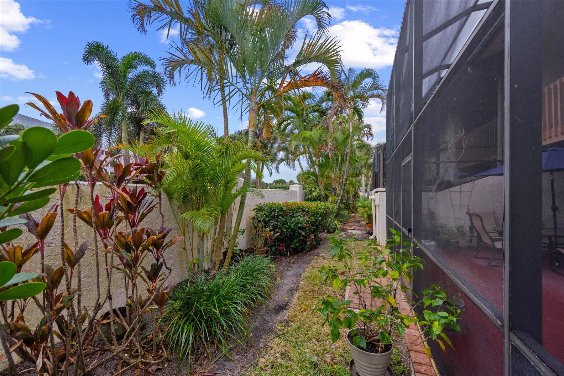 Tropical side yard with palms and a narrow path alongside a screened patio.