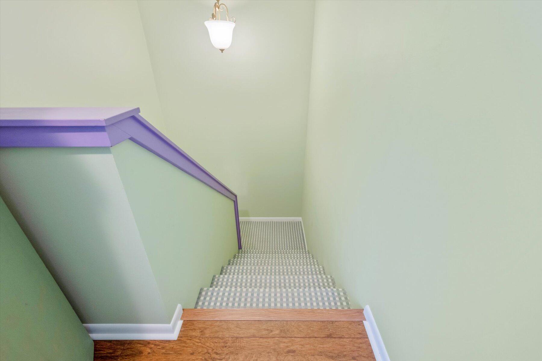Carpeted staircase with a purple railing and wood-floored landing.