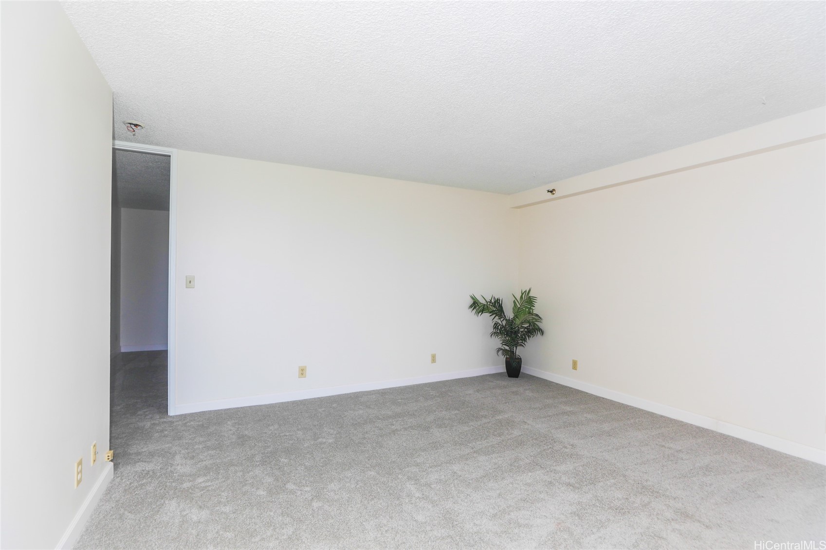 2916 Date Street 10I