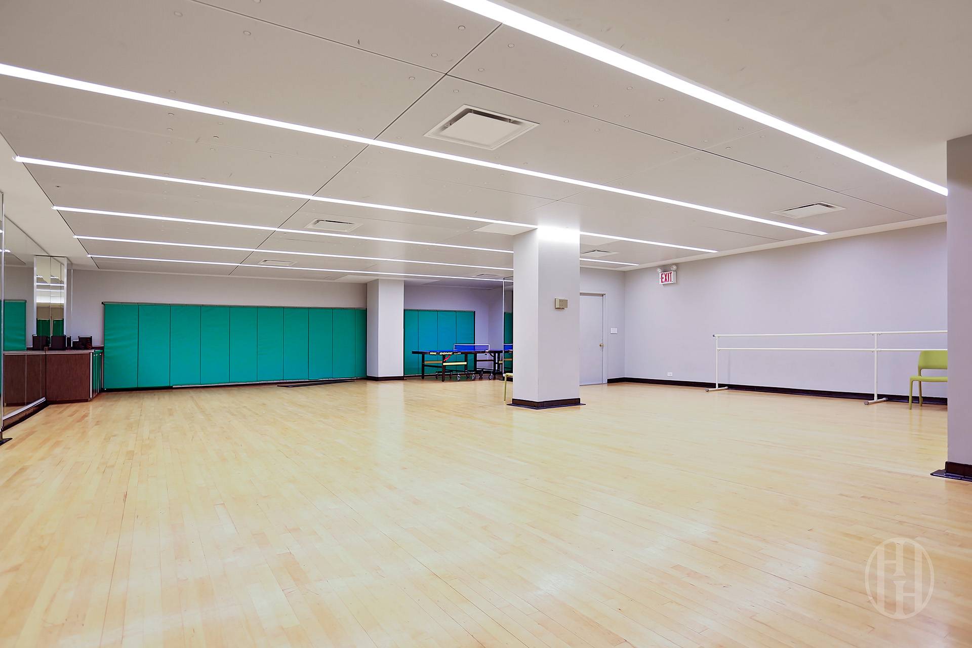 225 W 83rd Street 7Y