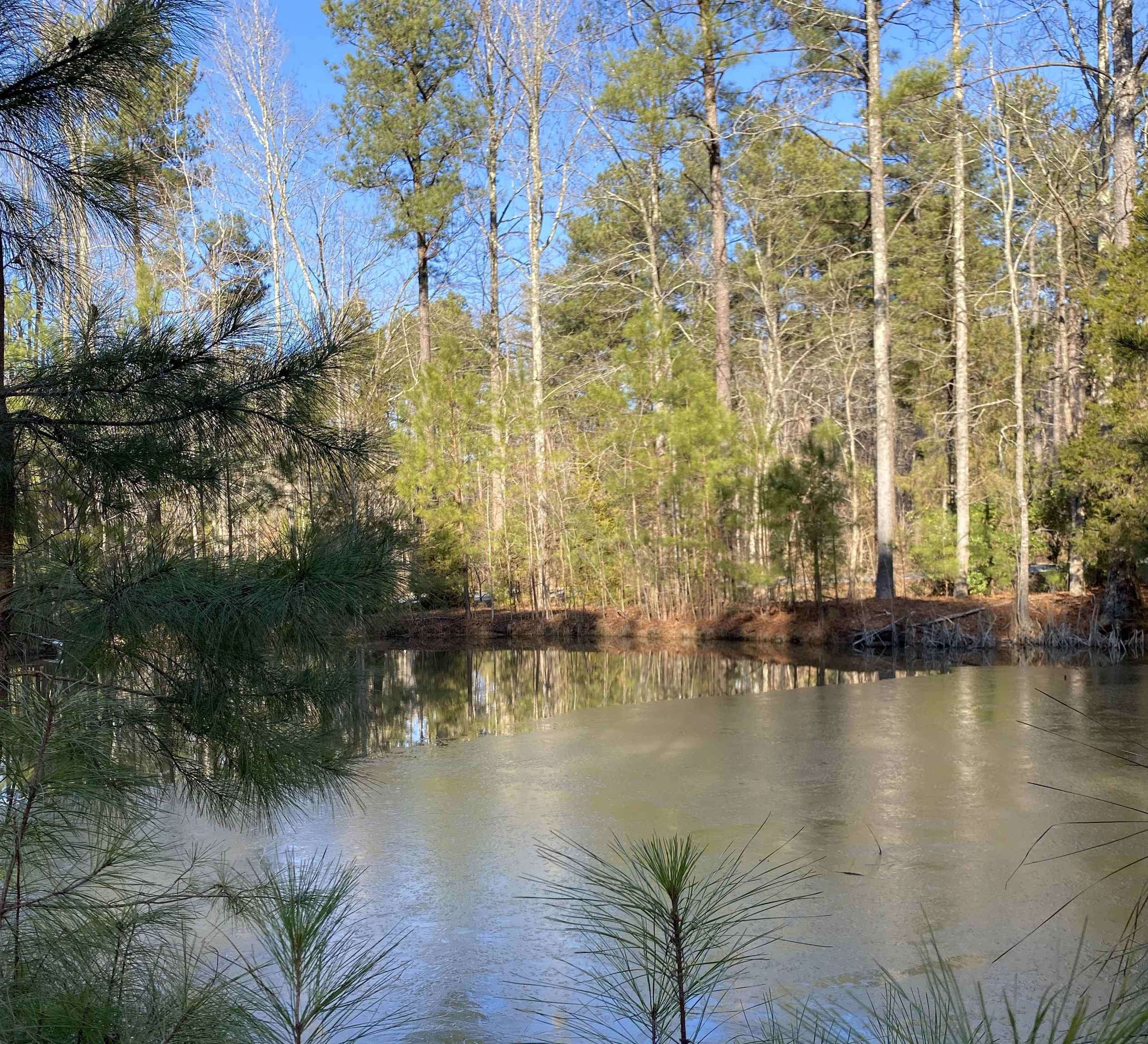3311 Country Pine Lane