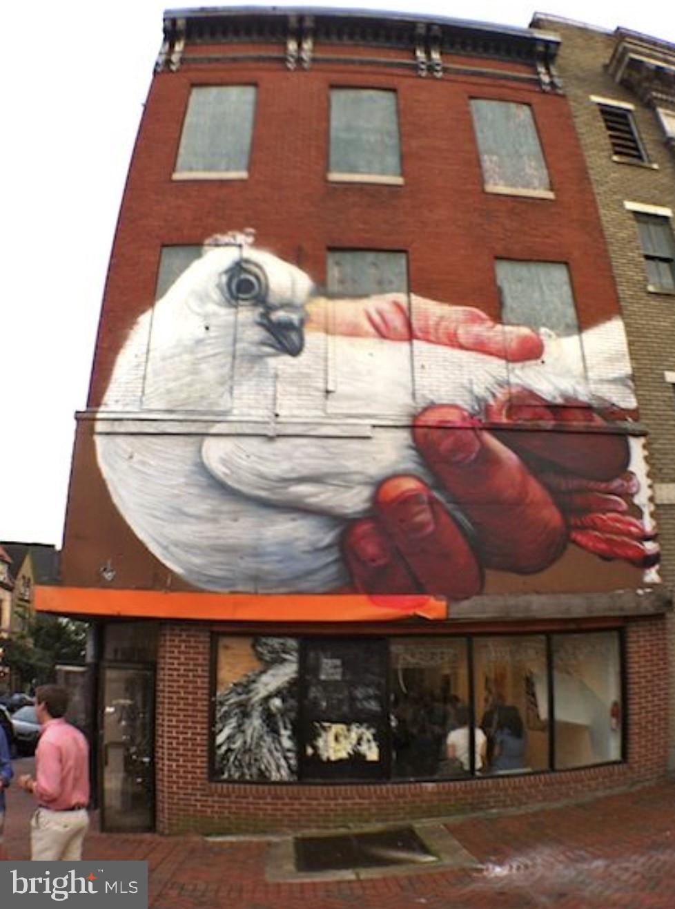 113 E LAFAYETTE AVENUE