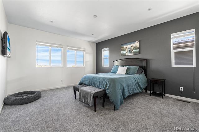 Bedroom with blue bedding, a dark accent wall, and windows on two walls.