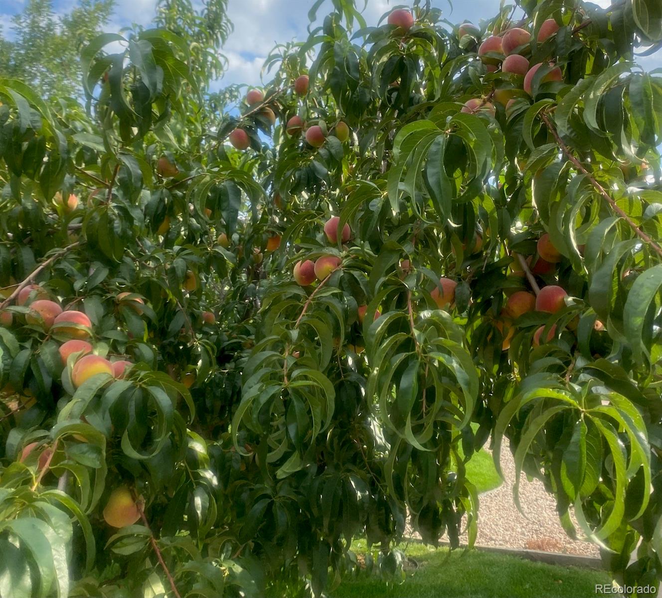 5974 S Milwaukee Way