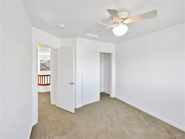 Empty bedroom with beige carpet, ceiling fan, open closet, and doorway to a hall.