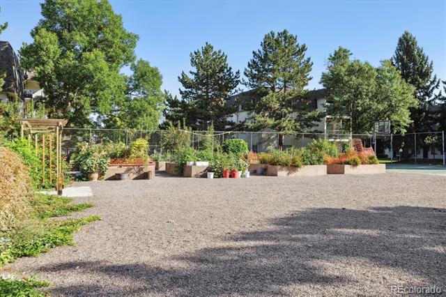 Condominium courtyard with gravel ground, raised garden beds, and mature trees.