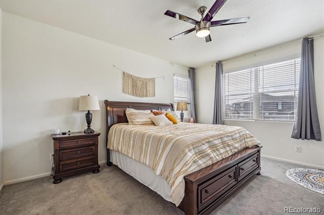 Bedroom with a dark wood bed, striped bedding, and two large windows with blinds.