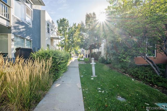 Landscaped walkway between modern residential buildings, with a concrete path, lawn, and leafy trees.