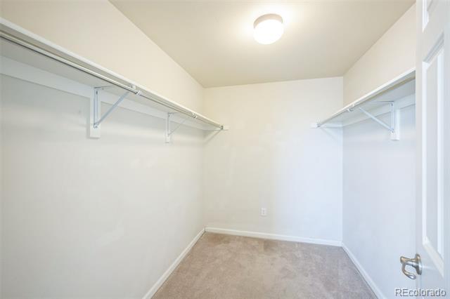 Empty walk-in closet with shelving on both sides, carpeted floor, and a narrow window.
