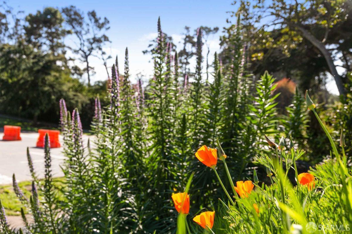 3136 Fulton Street # 3