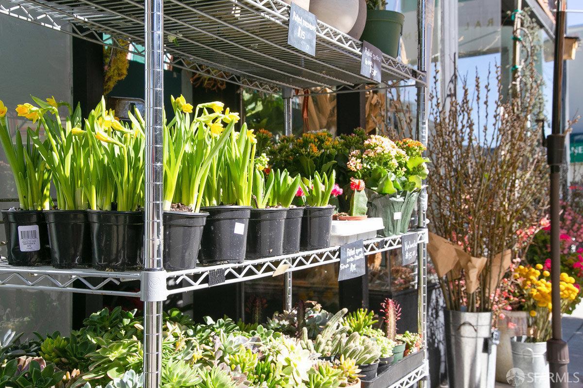 3136 Fulton Street # 3