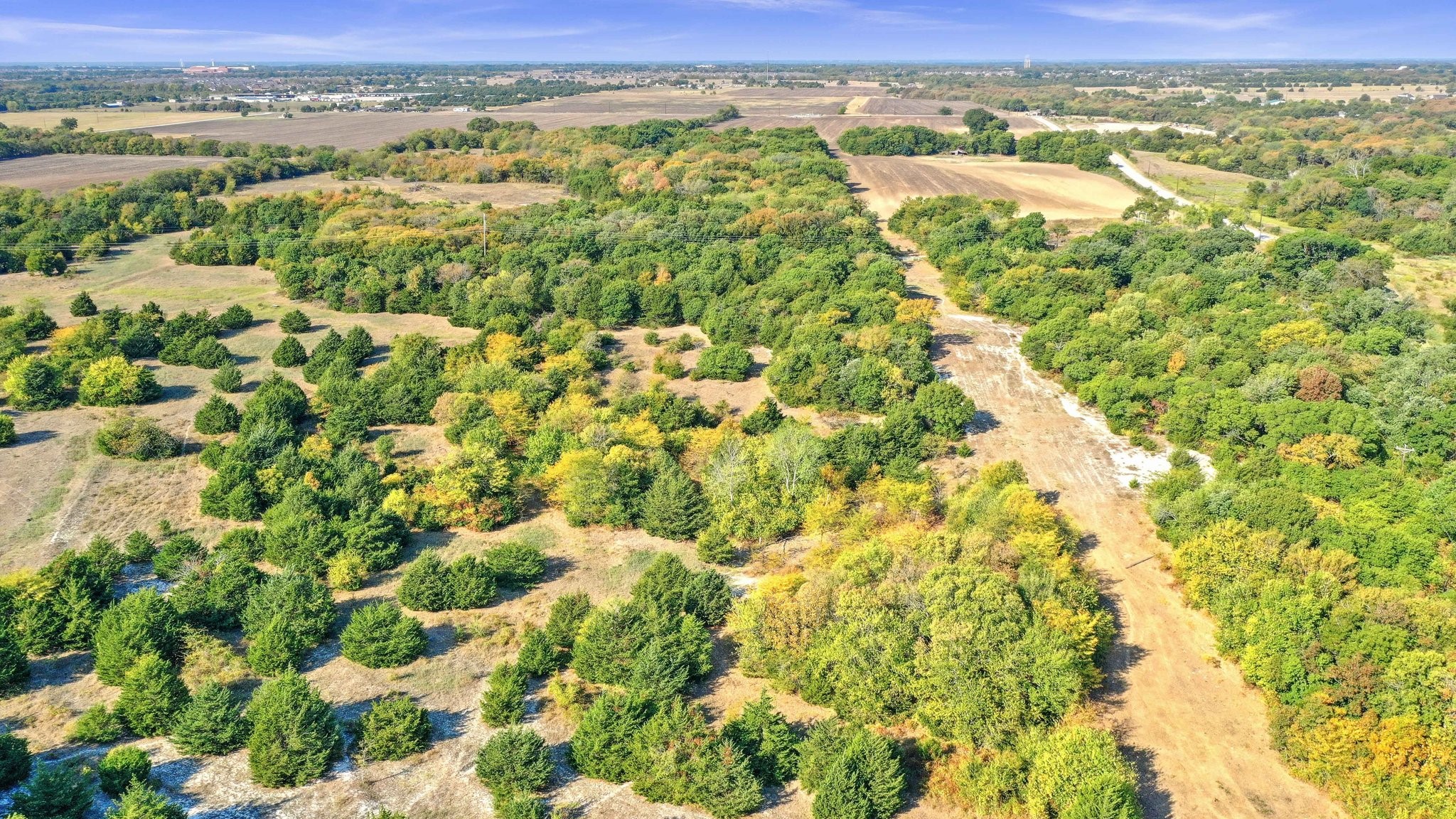 TBD County Road 429