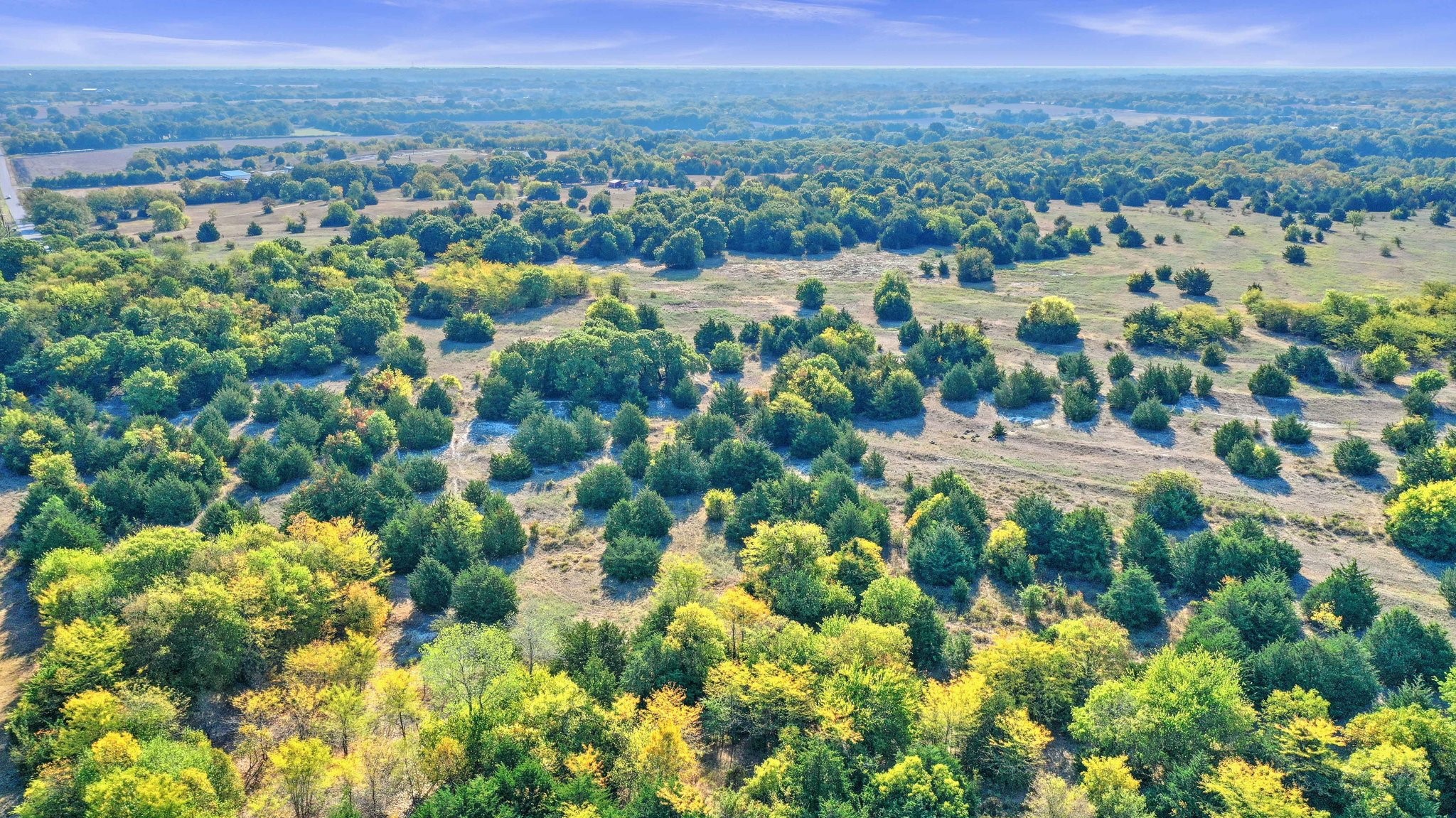 TBD County Road 429
