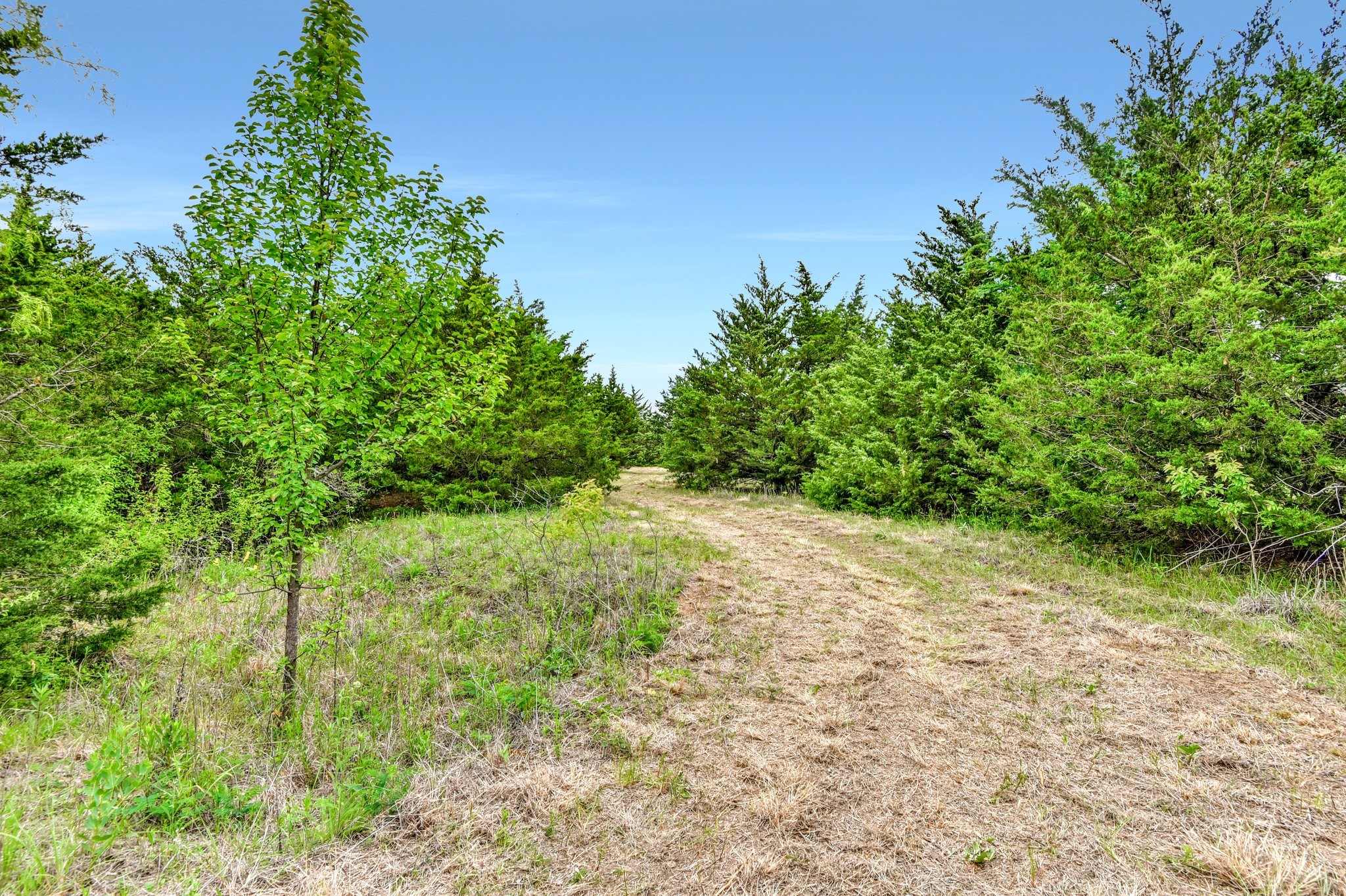 TBD Airport Road