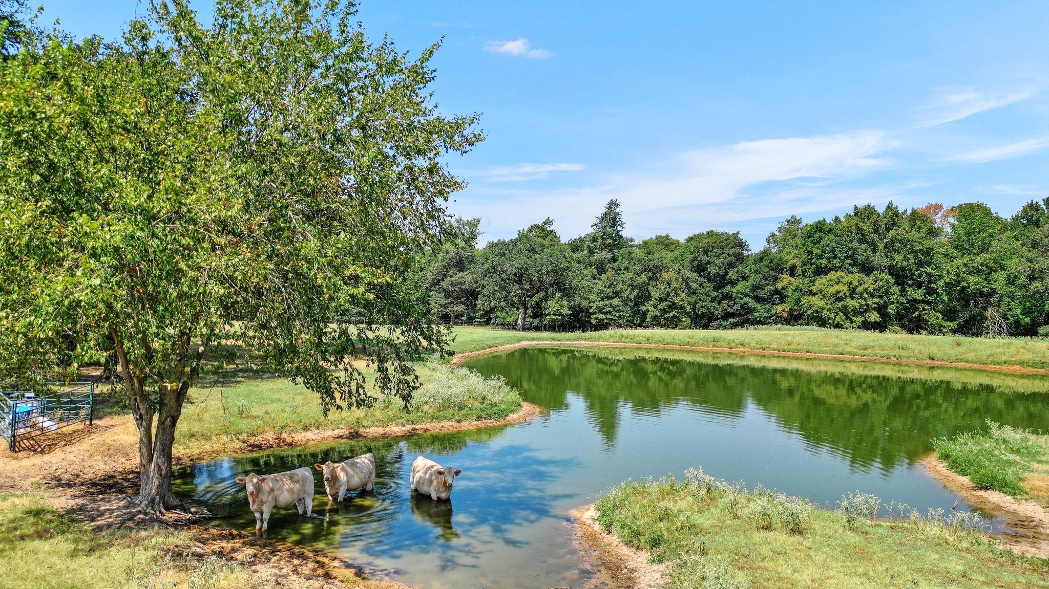 615 County Road 2156