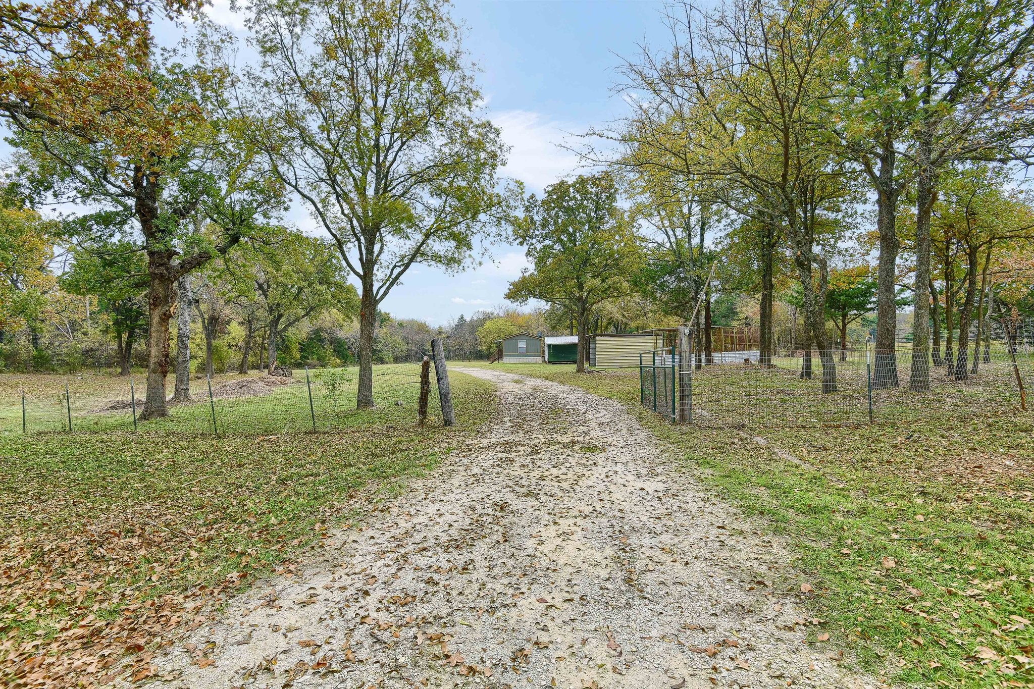 244 Hogan Lane