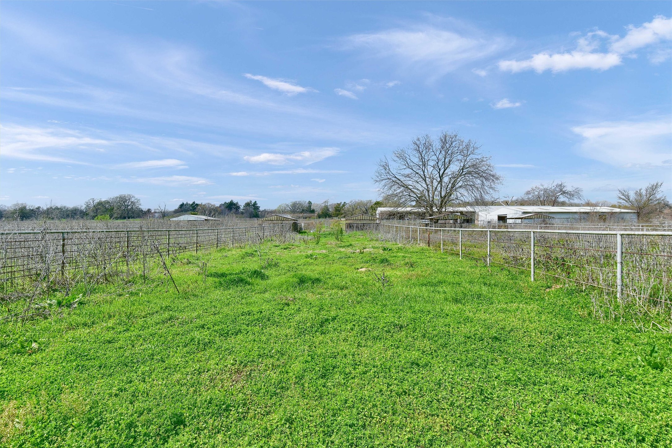 8283 S Fm 372
