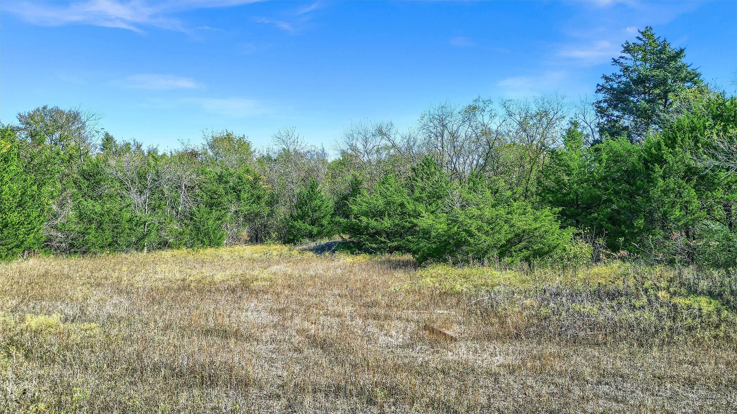 322 Red Maple Road