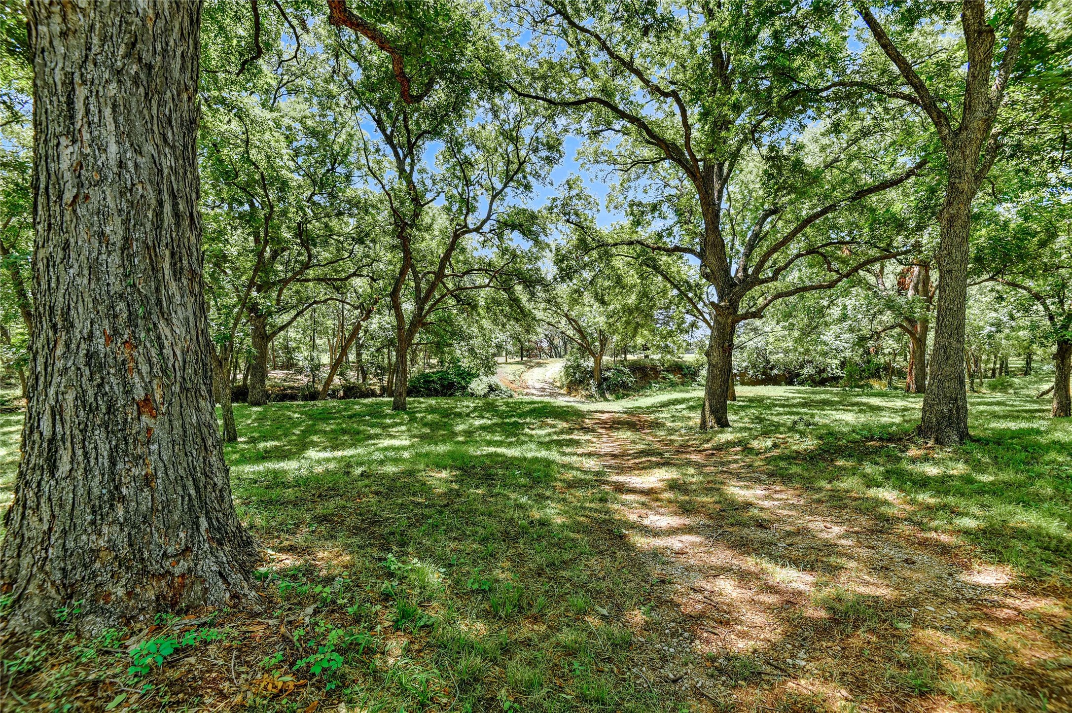 27160 State Highway 56