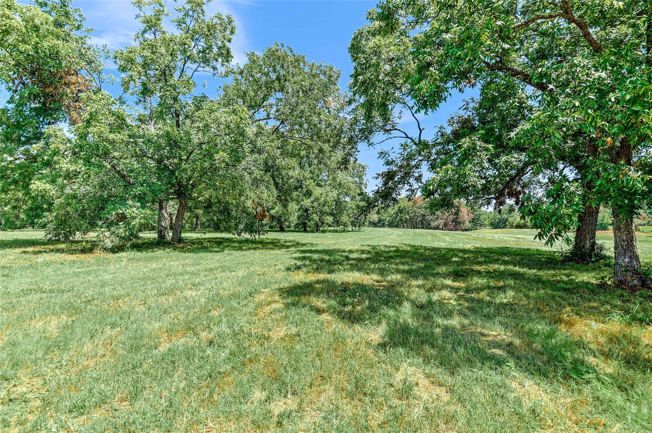 27160 State Highway 56