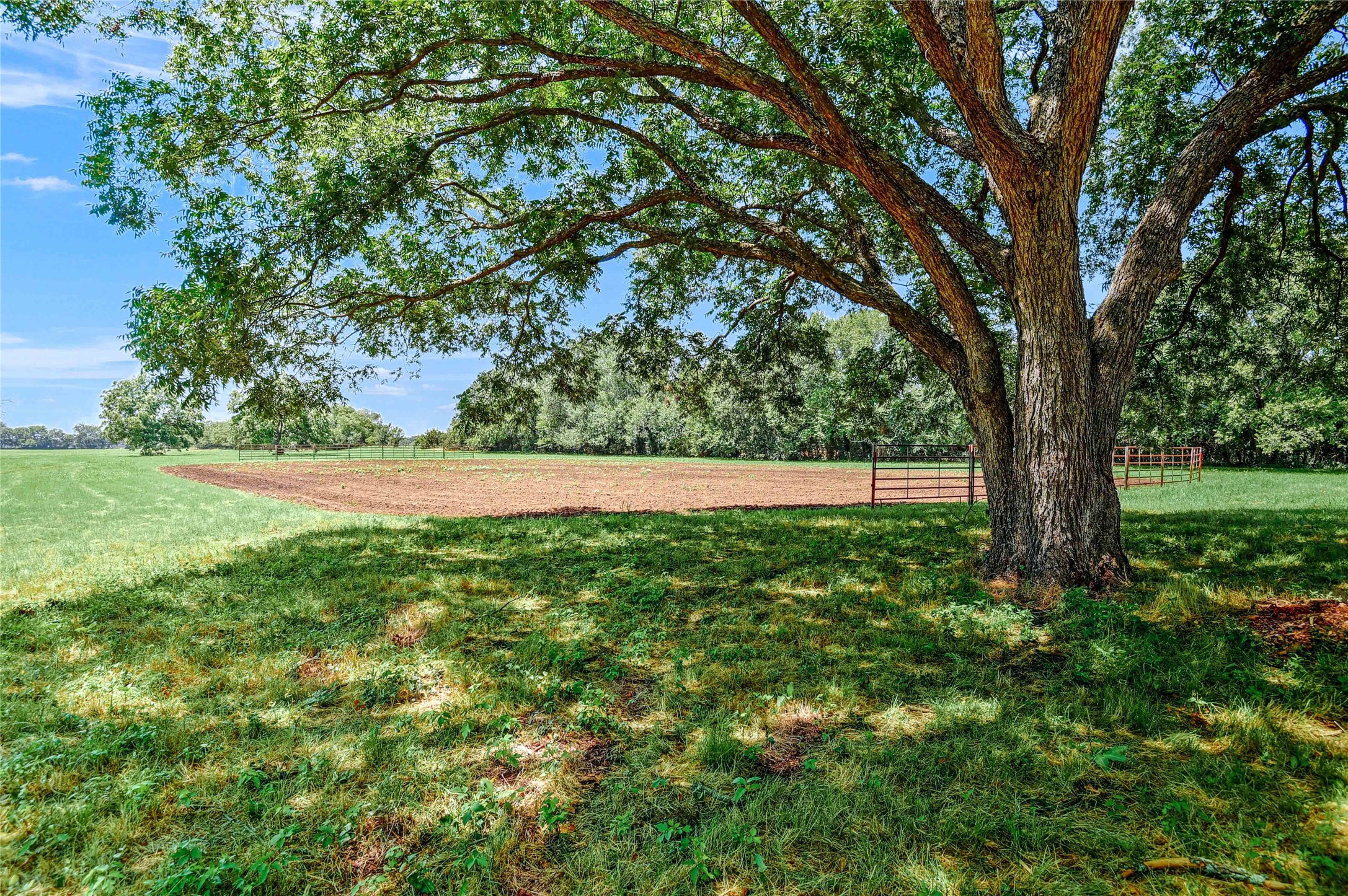 27160 State Highway 56