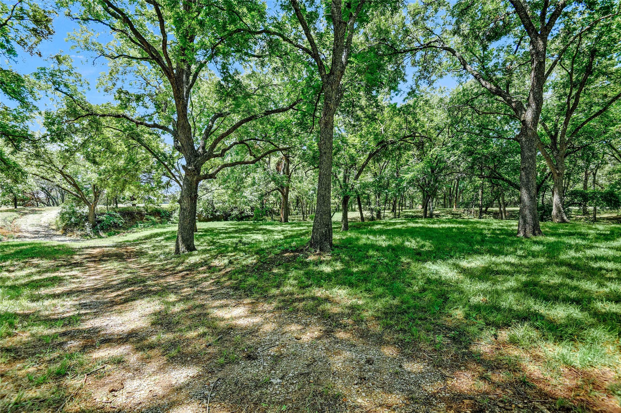 27160 State Highway 56