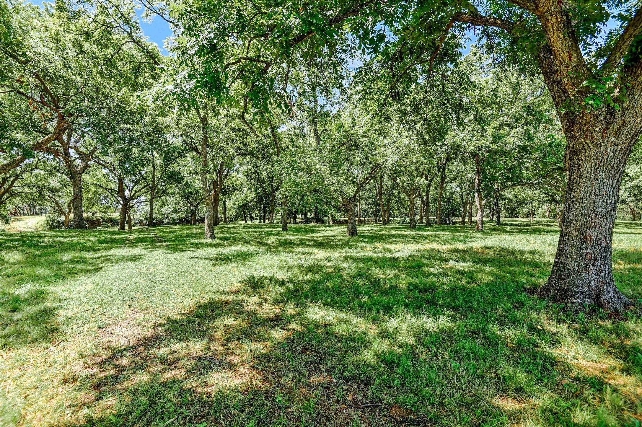 27160 State Highway 56