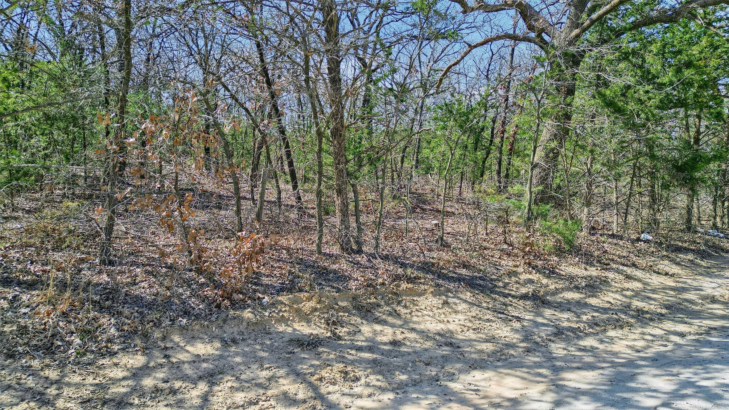 278 Neely Trail