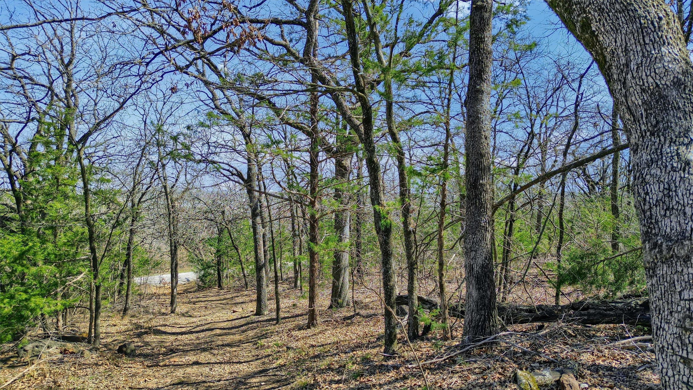 278 Neely Trail