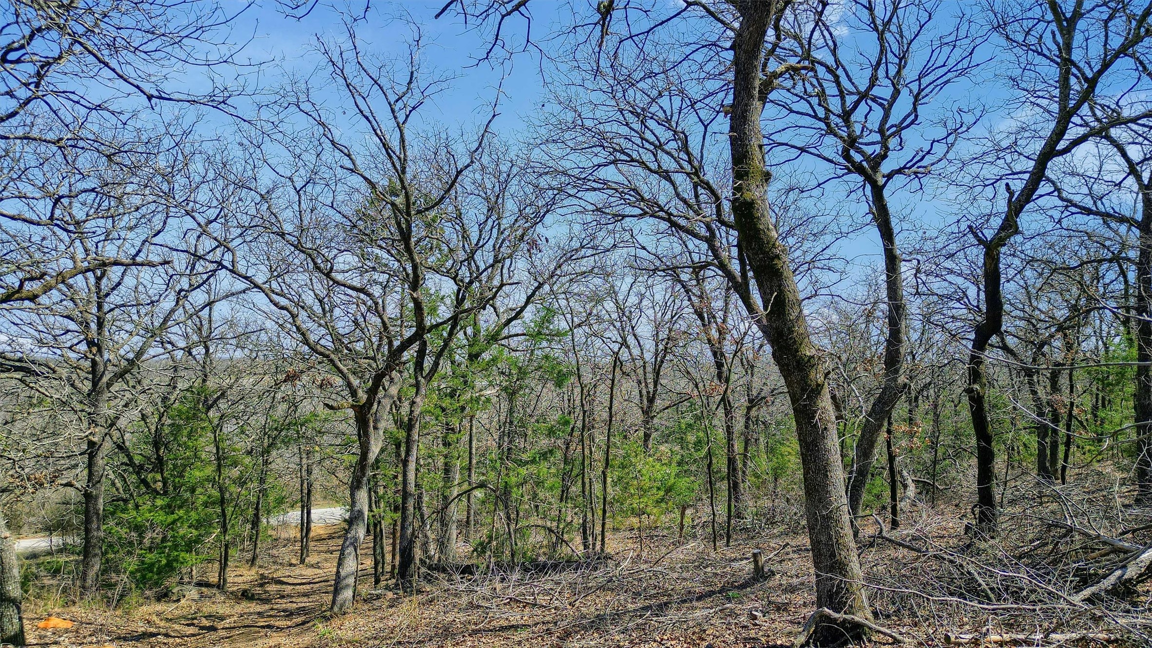 278 Neely Trail