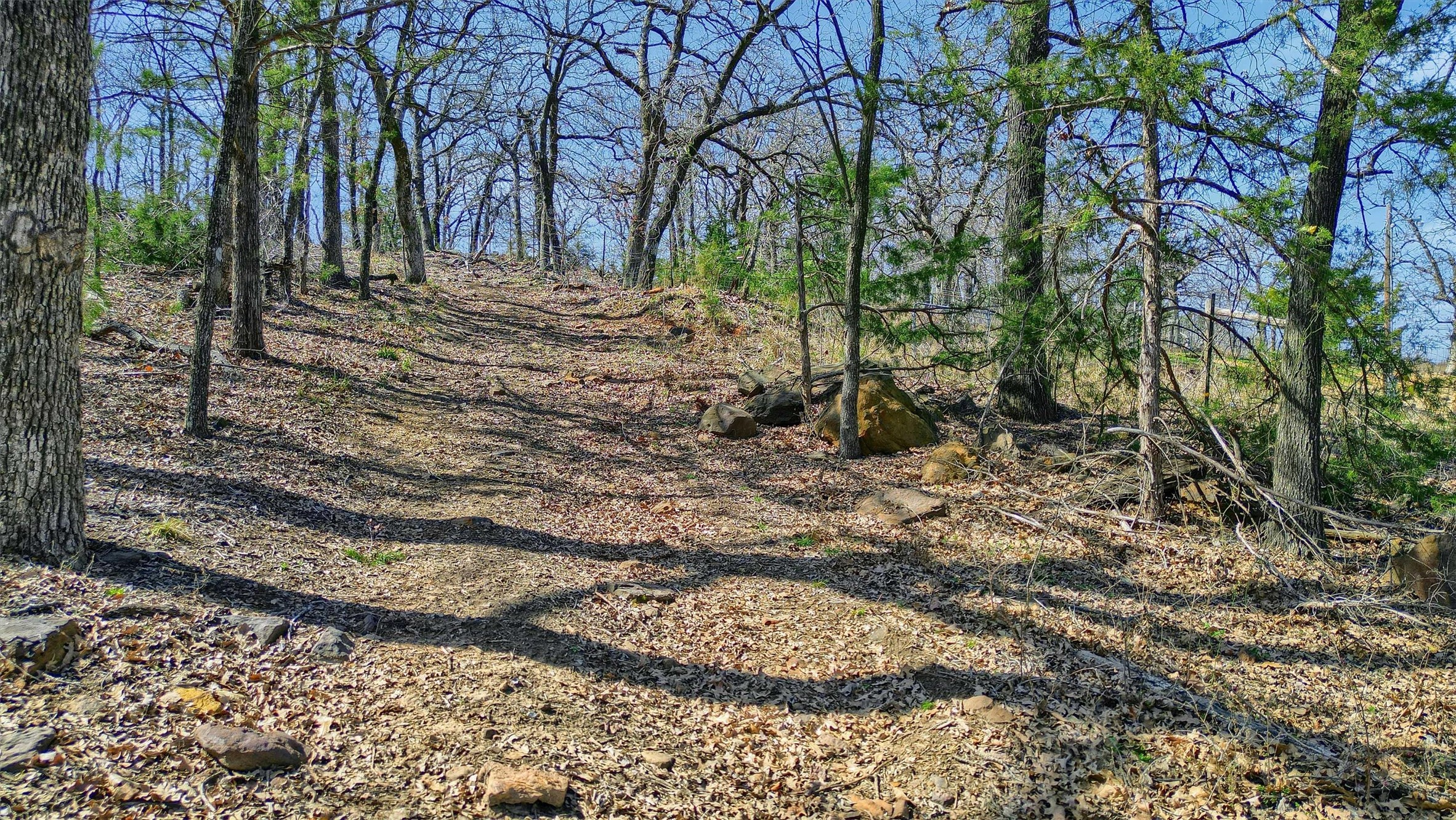 278 Neely Trail