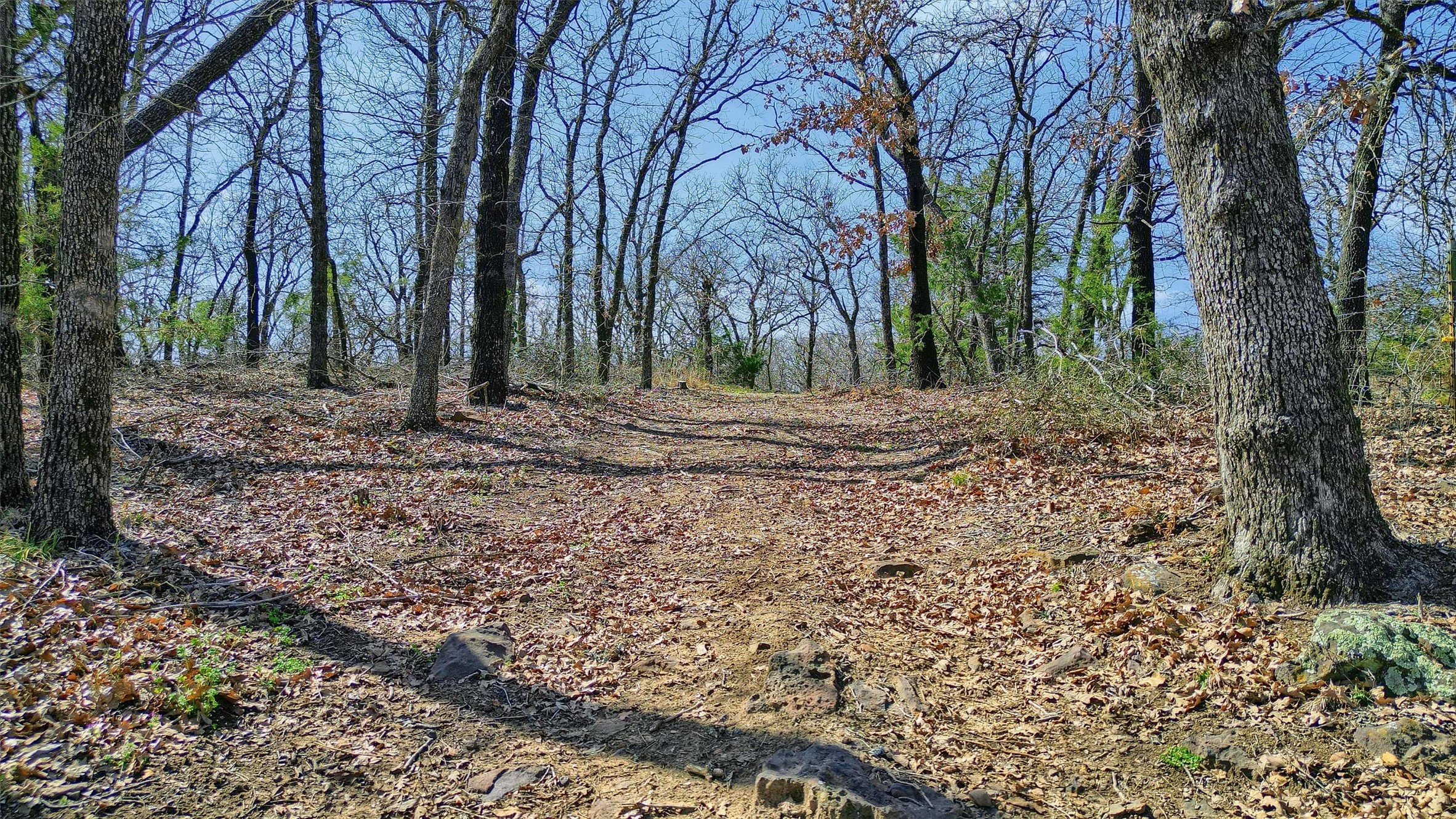278 Neely Trail