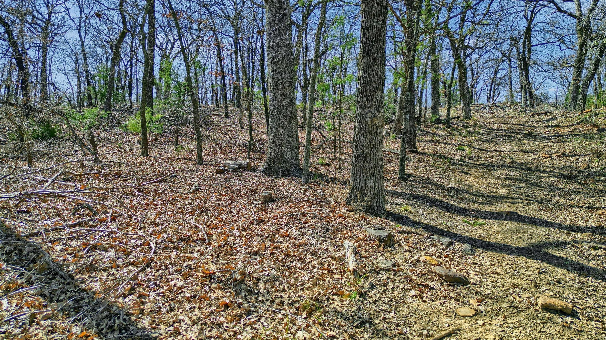 278 Neely Trail