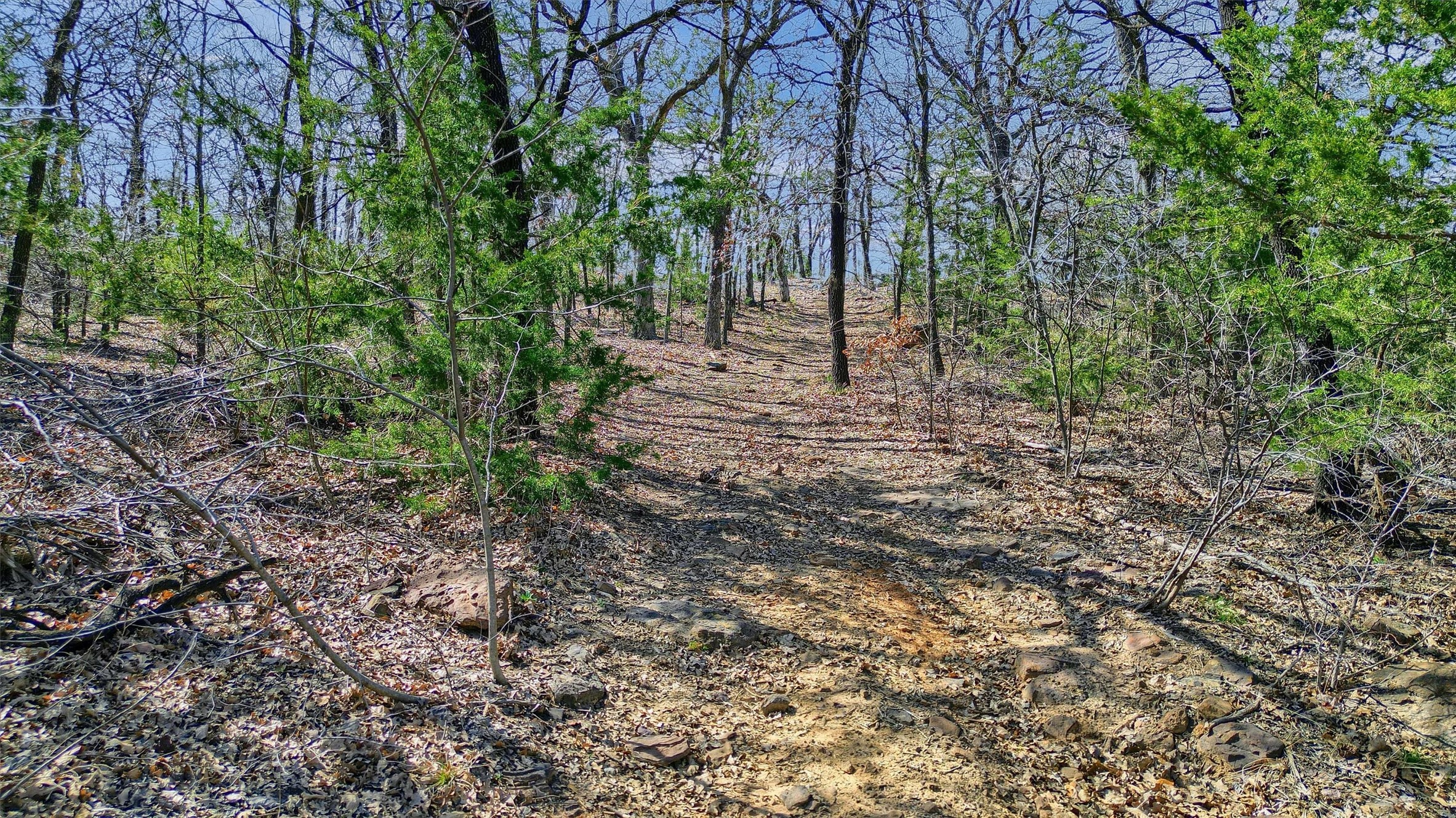 278 Neely Trail