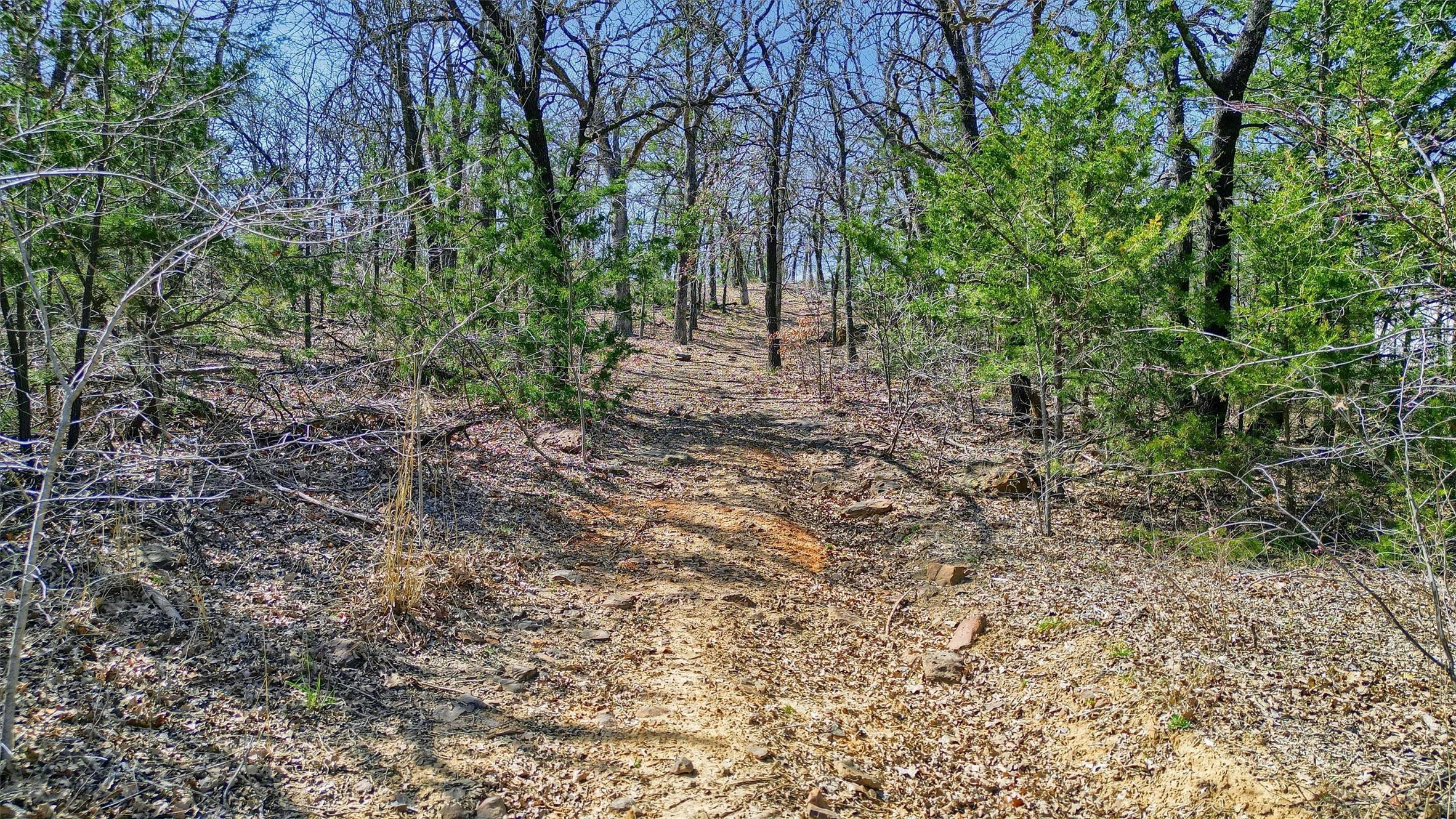 278 Neely Trail
