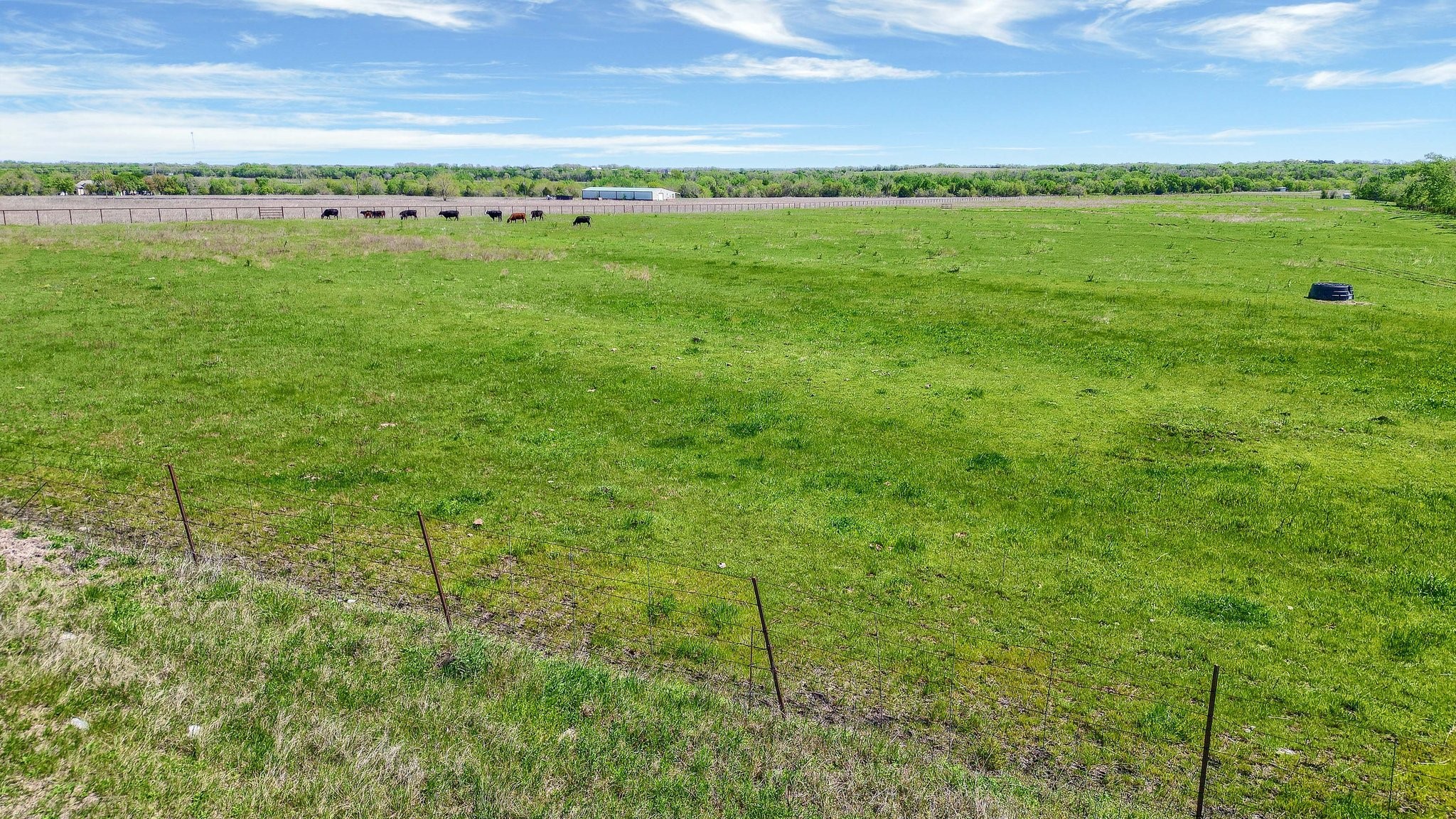 TBD N Custer Road