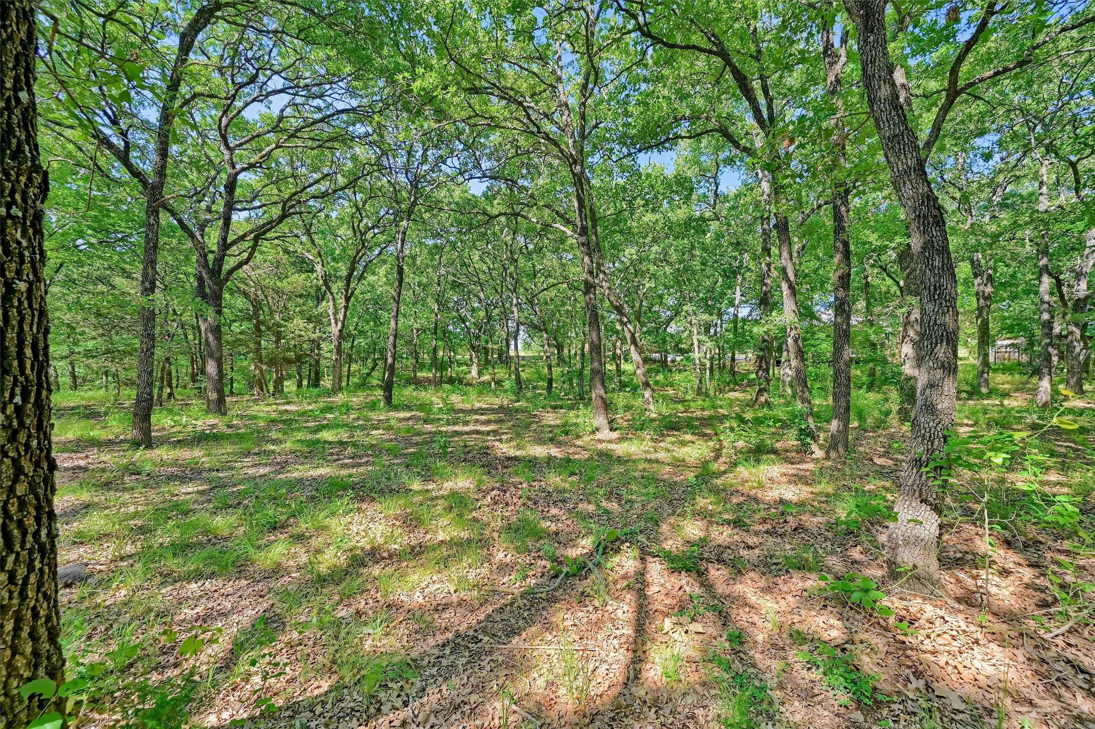 6654 W Line Road
