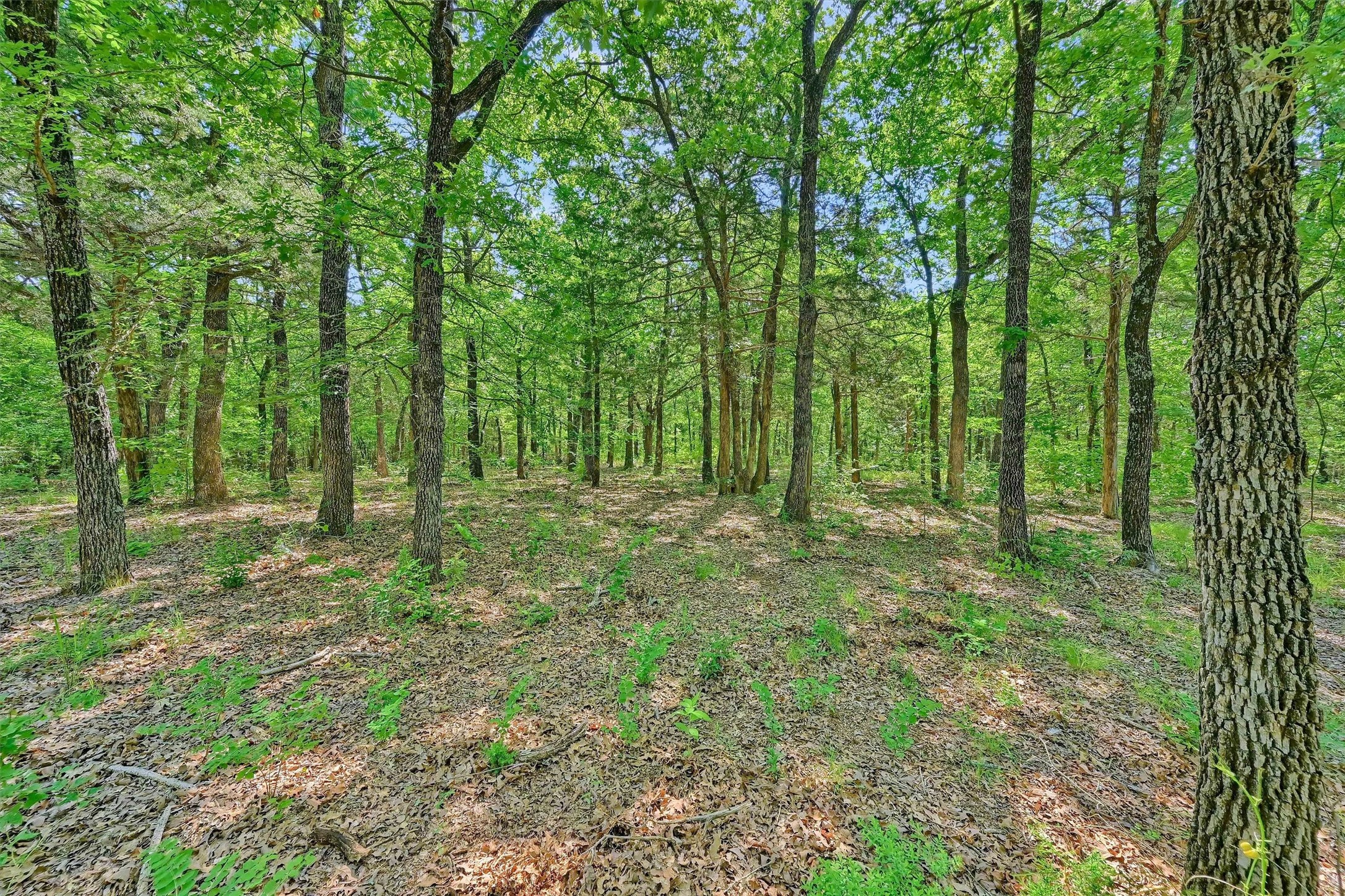 6654 W Line Road