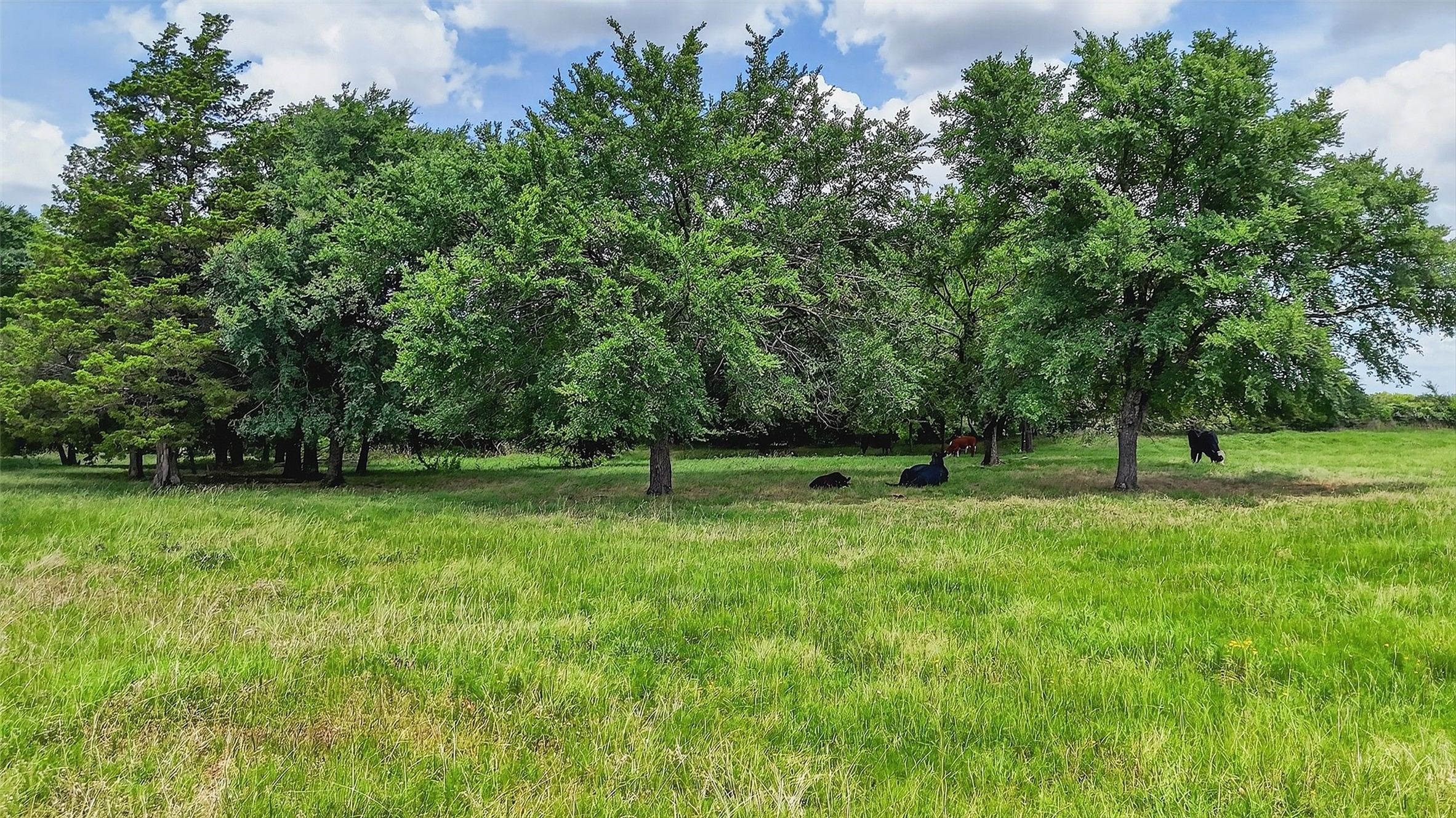 2869 Ranch Road
