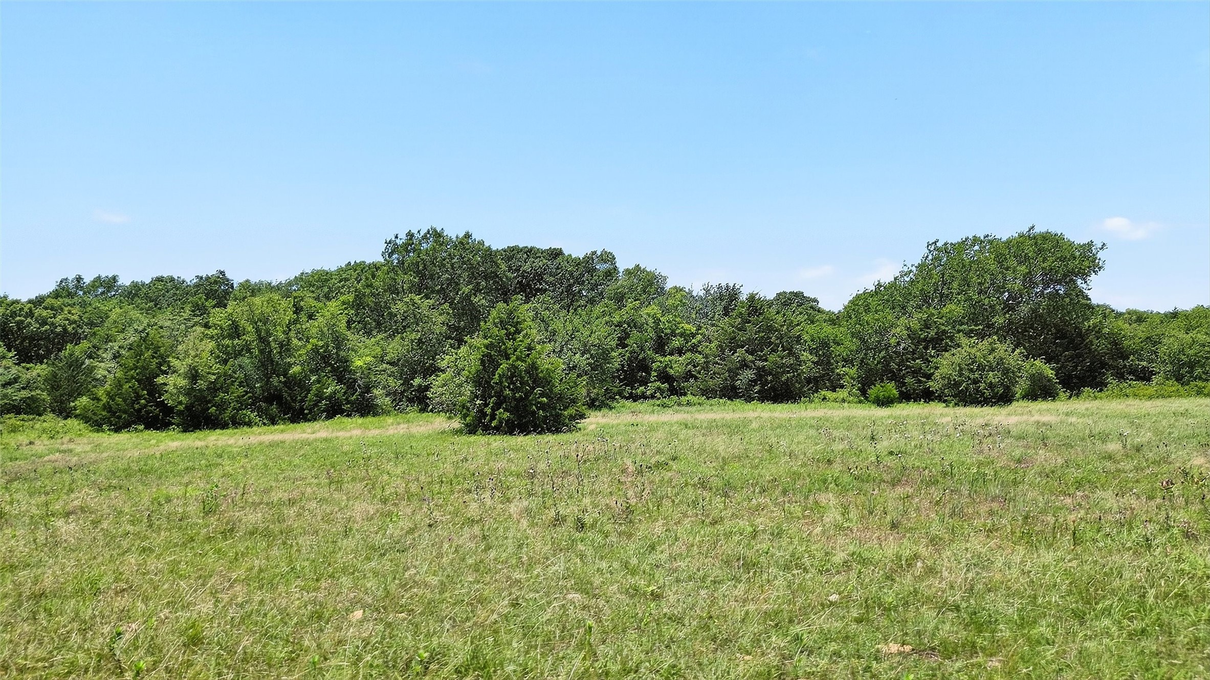 TBD County Road 473
