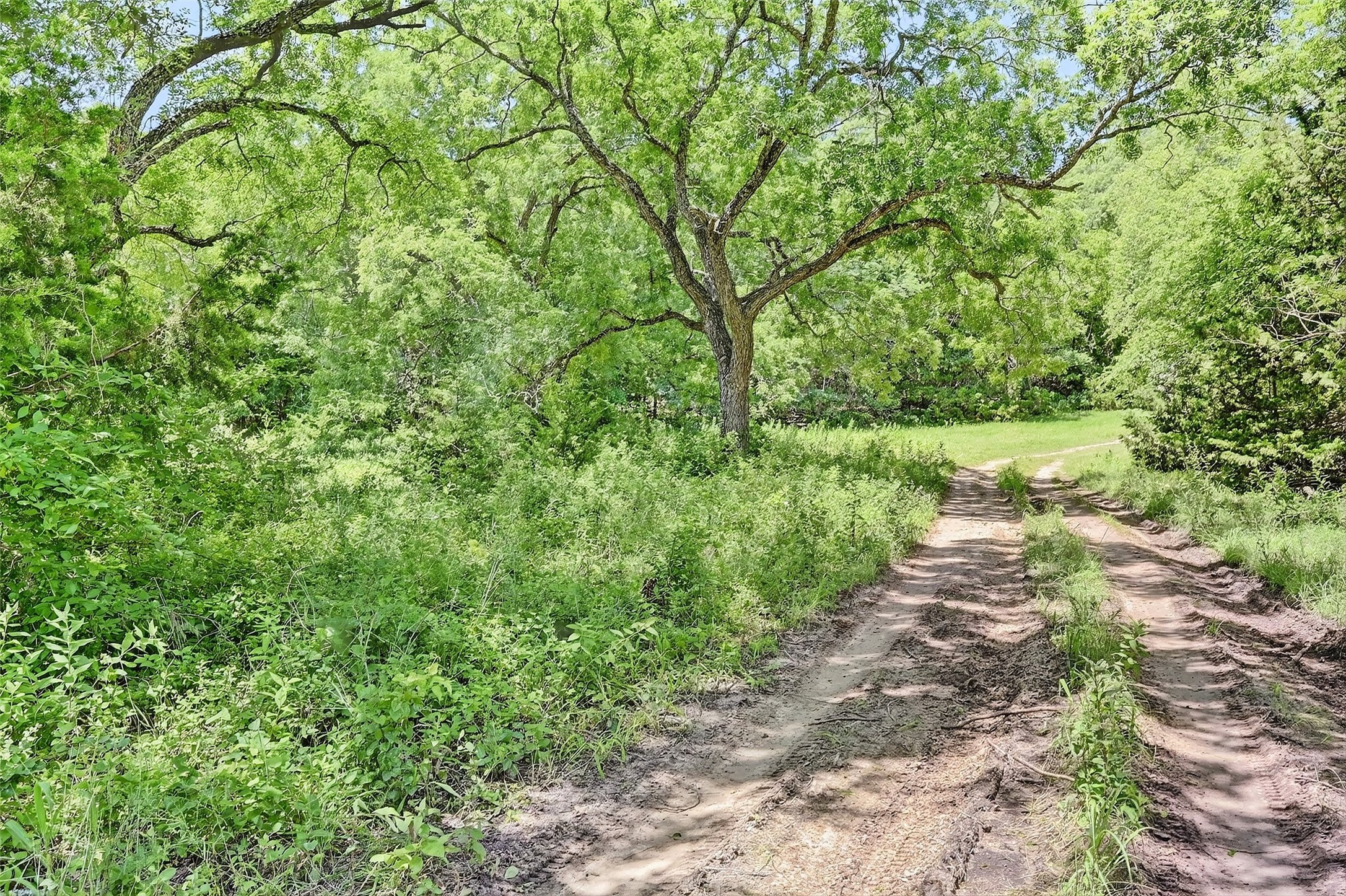 TBD County Road 473