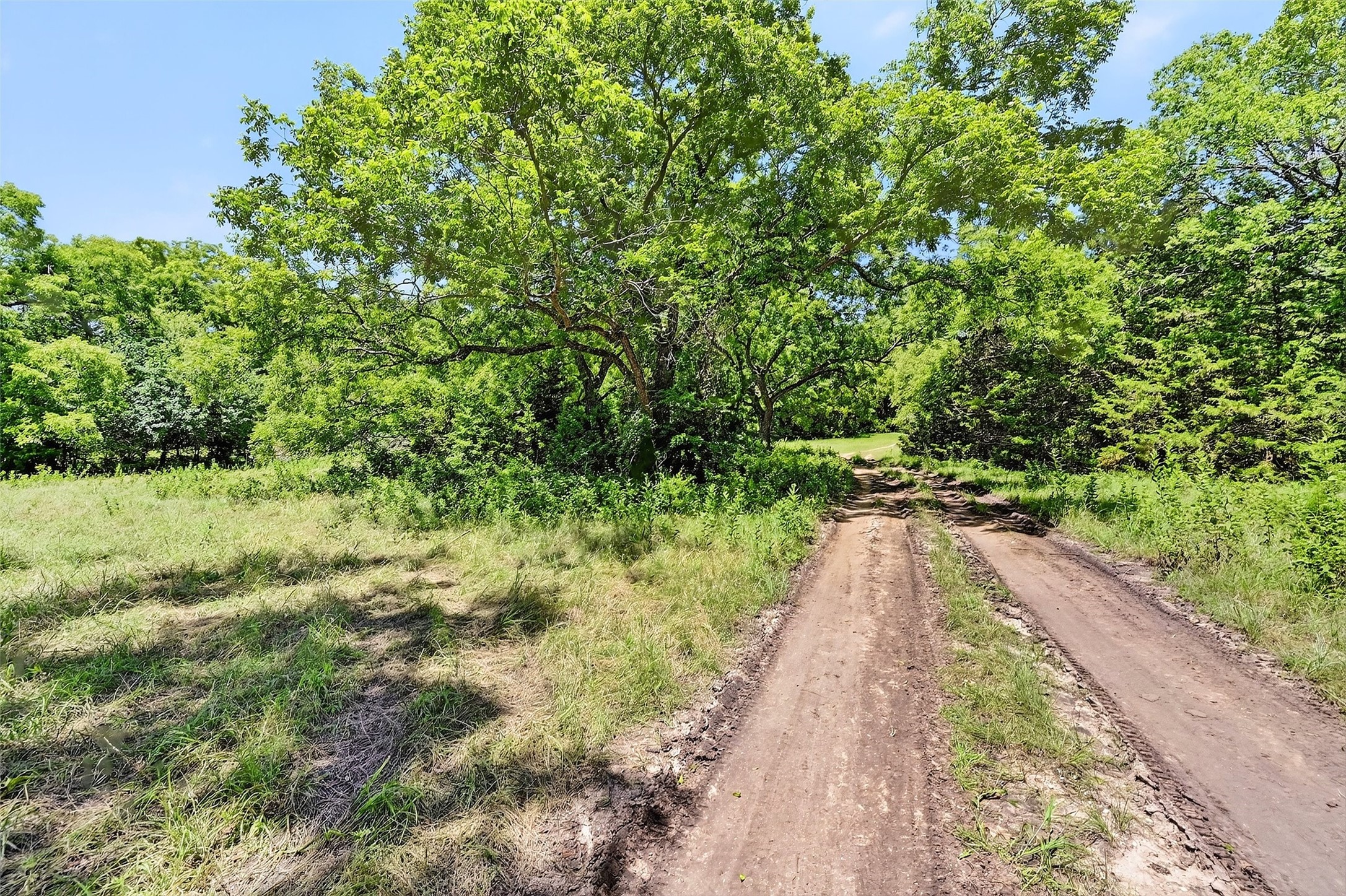 TBD County Road 473