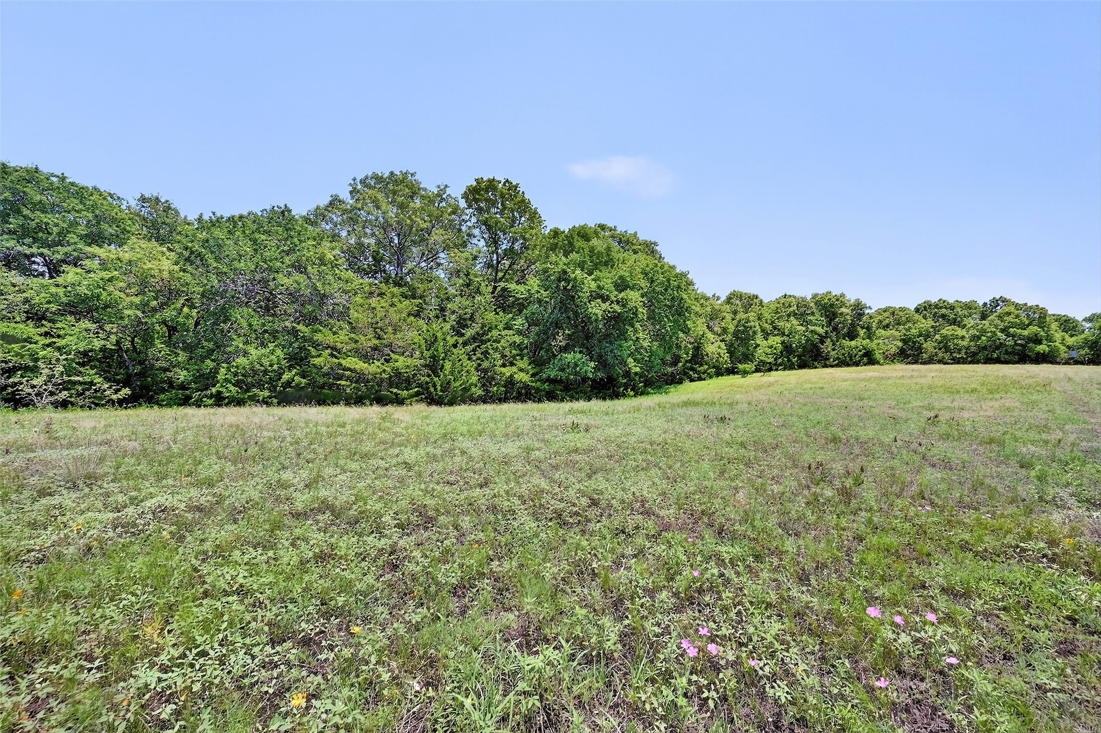 TBD County Road 473