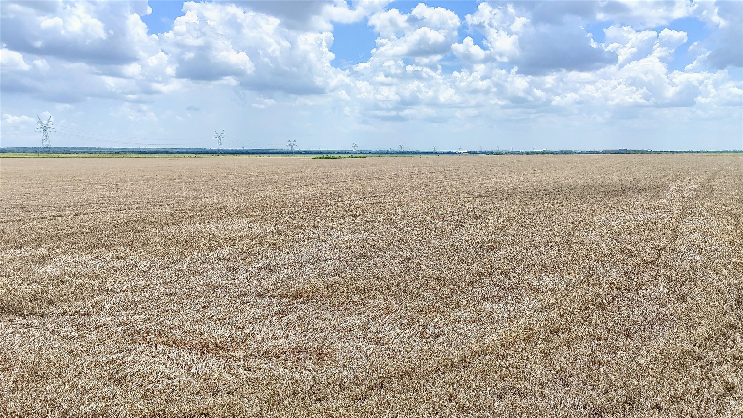 115 ac Fm 902 & Wall St.